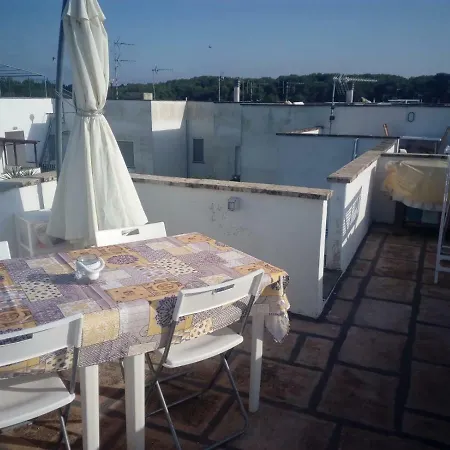 Casina Amarillide *