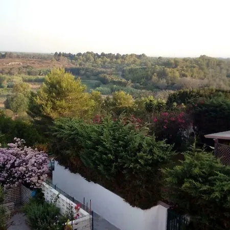 Casina Amarillide *